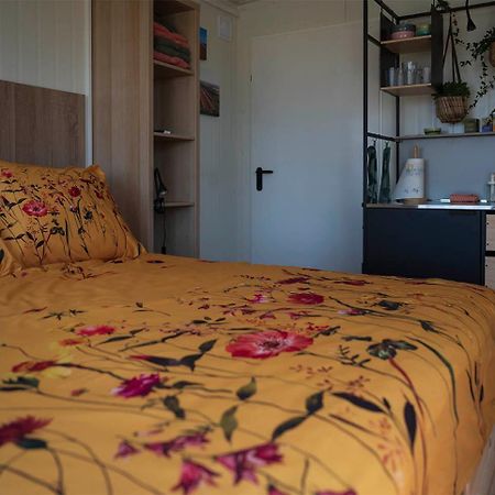 Bloem & Bed Bed & Breakfast 't Zand Ngoại thất bức ảnh