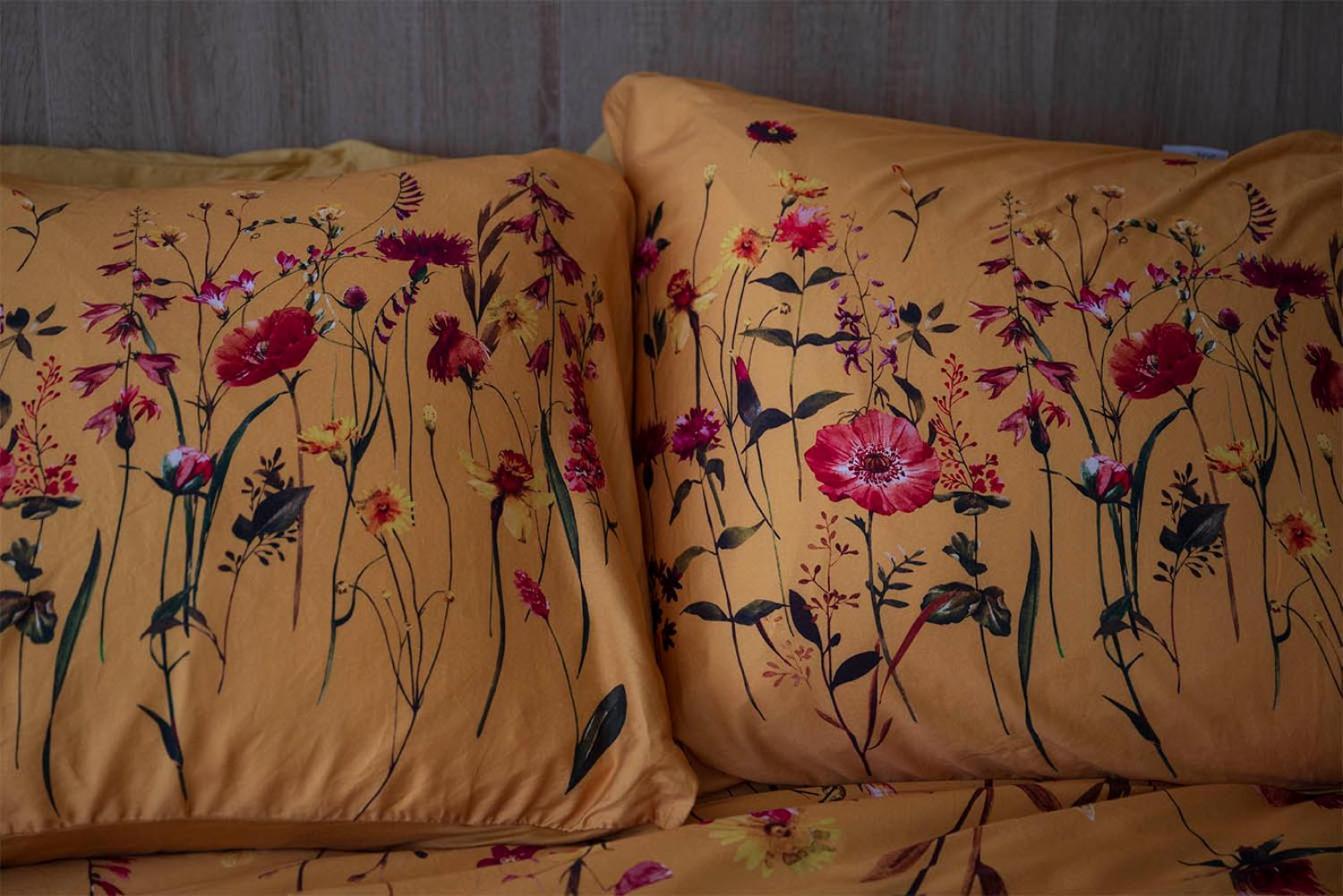 Bloem & Bed Bed & Breakfast 't Zand Ngoại thất bức ảnh